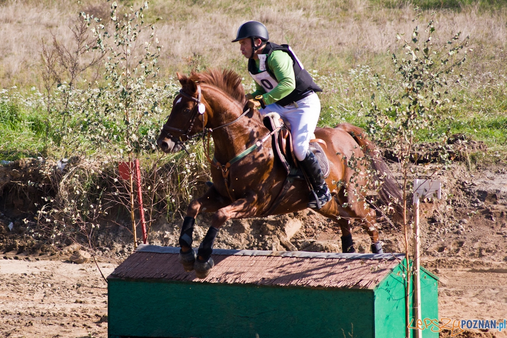 Ostatni dzień Mistrzostw Na Hipodromie Wola Foto: Piotr Rychter Ostatni dzień Mistrzostw Na Hipodromie Wola Foto: Piotr Rychter