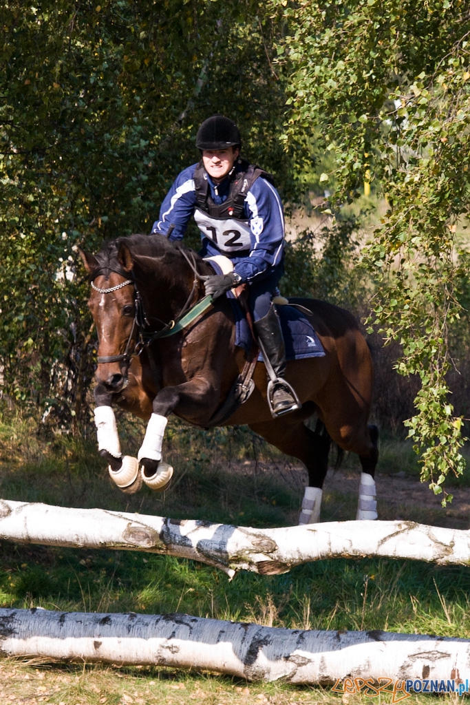 Ostatni dzień Mistrzostw Na Hipodromie Wola Foto: Piotr Rychter Ostatni dzień Mistrzostw Na Hipodromie Wola Foto: Piotr Rychter