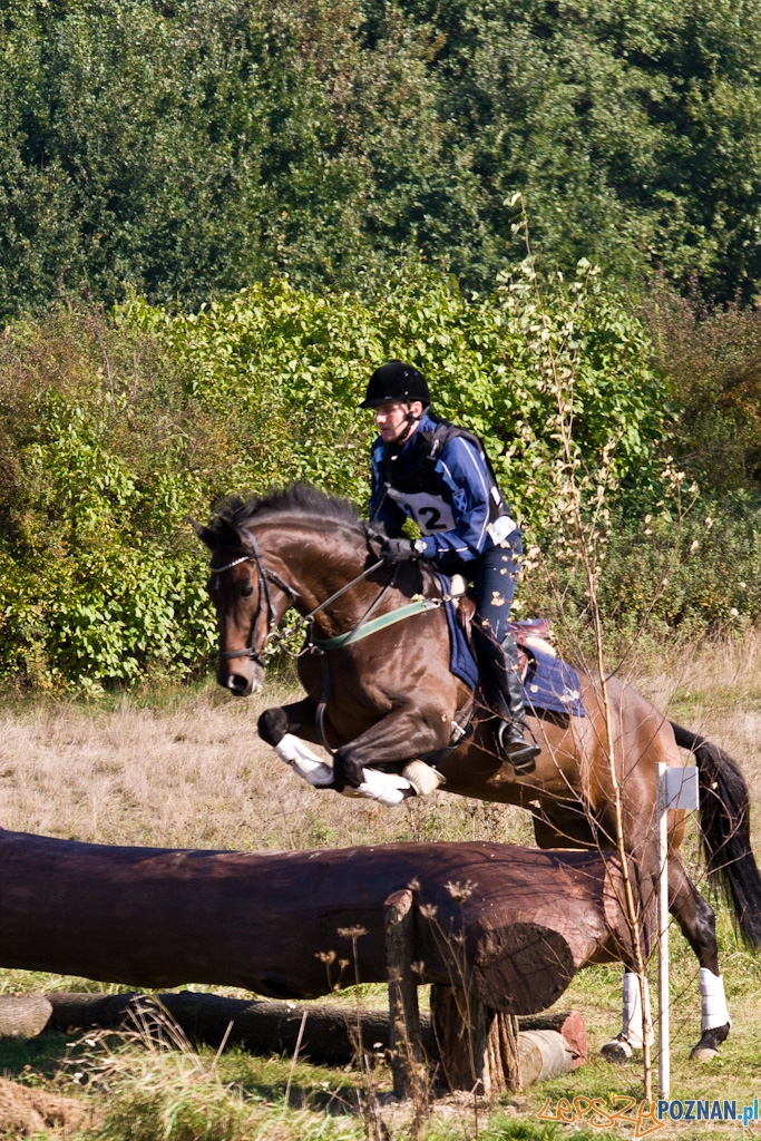 Ostatni dzień Mistrzostw Na Hipodromie Wola Foto: Piotr Rychter Ostatni dzień Mistrzostw Na Hipodromie Wola Foto: Piotr Rychter