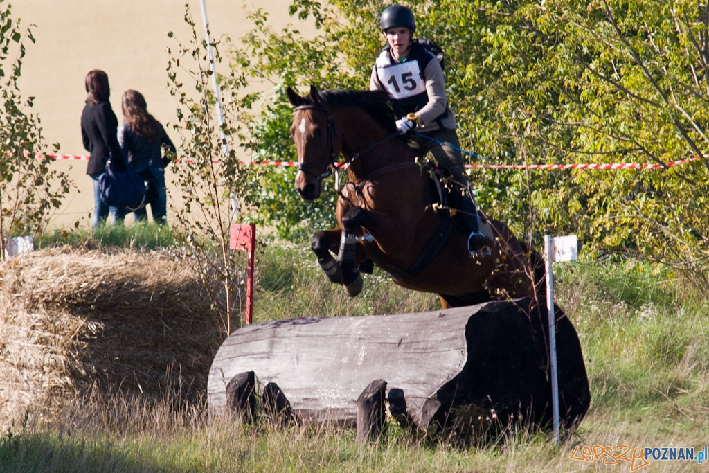 Ostatni dzień Mistrzostw Na Hipodromie Wola Foto: Piotr Rychter Ostatni dzień Mistrzostw Na Hipodromie Wola Foto: Piotr Rychter