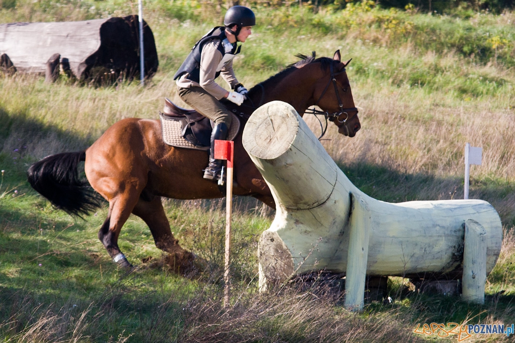 Ostatni dzień Mistrzostw Na Hipodromie Wola Foto: Piotr Rychter Ostatni dzień Mistrzostw Na Hipodromie Wola Foto: Piotr Rychter