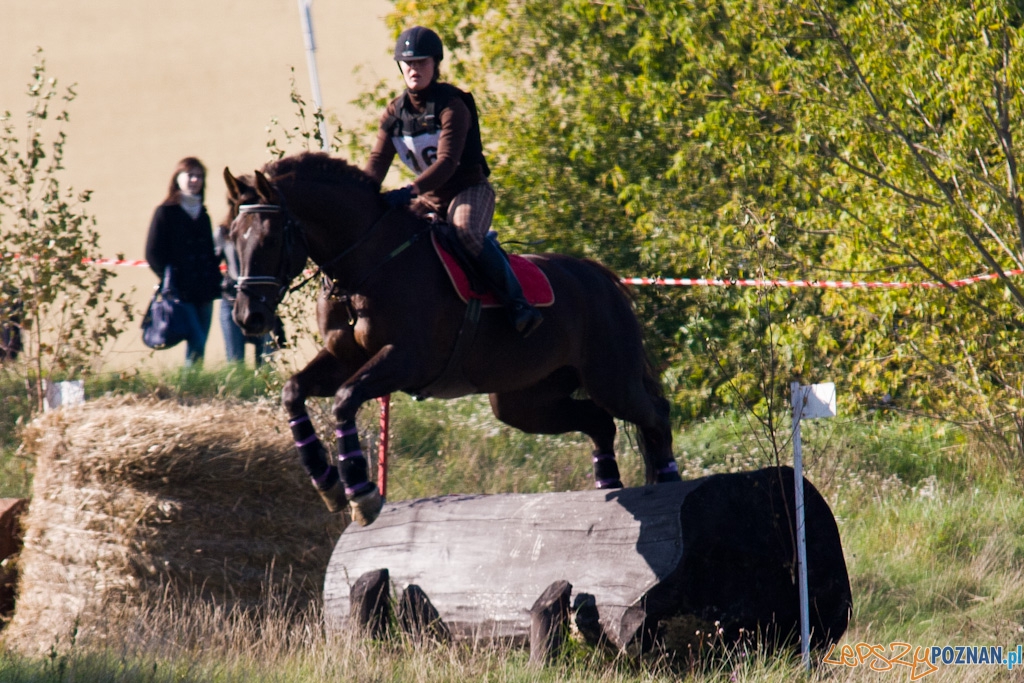 Ostatni dzień Mistrzostw Na Hipodromie Wola Foto: Piotr Rychter Ostatni dzień Mistrzostw Na Hipodromie Wola Foto: Piotr Rychter