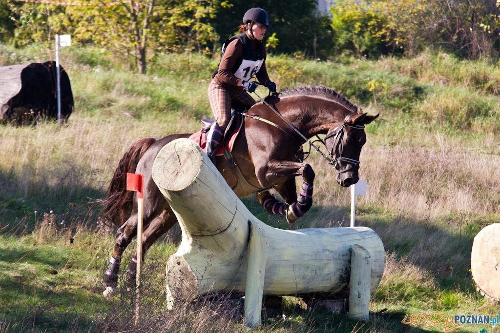 Ostatni dzień Mistrzostw Na Hipodromie Wola Foto: Piotr Rychter Ostatni dzień Mistrzostw Na Hipodromie Wola Foto: Piotr Rychter