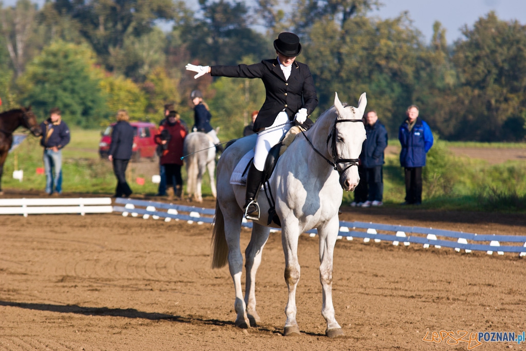 Ostatni dzień Mistrzostw Na Hipodromie Wola Foto: Piotr Rychter Ostatni dzień Mistrzostw Na Hipodromie Wola Foto: Piotr Rychter