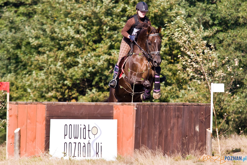 Ostatni dzień Mistrzostw Na Hipodromie Wola Foto: Piotr Rychter Ostatni dzień Mistrzostw Na Hipodromie Wola Foto: Piotr Rychter