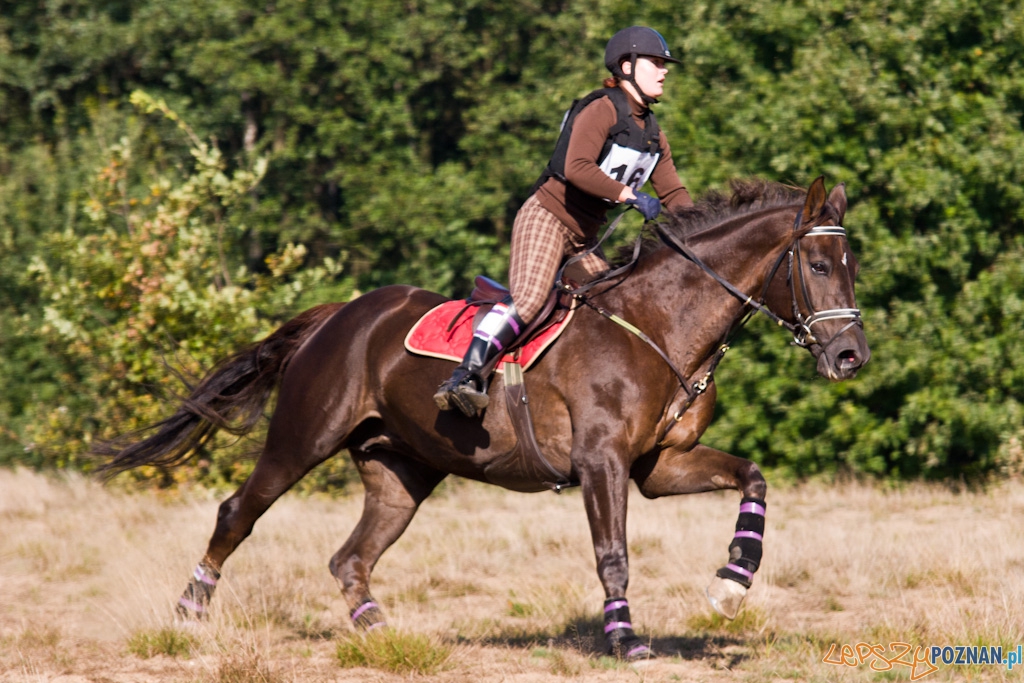 Ostatni dzień Mistrzostw Na Hipodromie Wola Foto: Piotr Rychter Ostatni dzień Mistrzostw Na Hipodromie Wola Foto: Piotr Rychter
