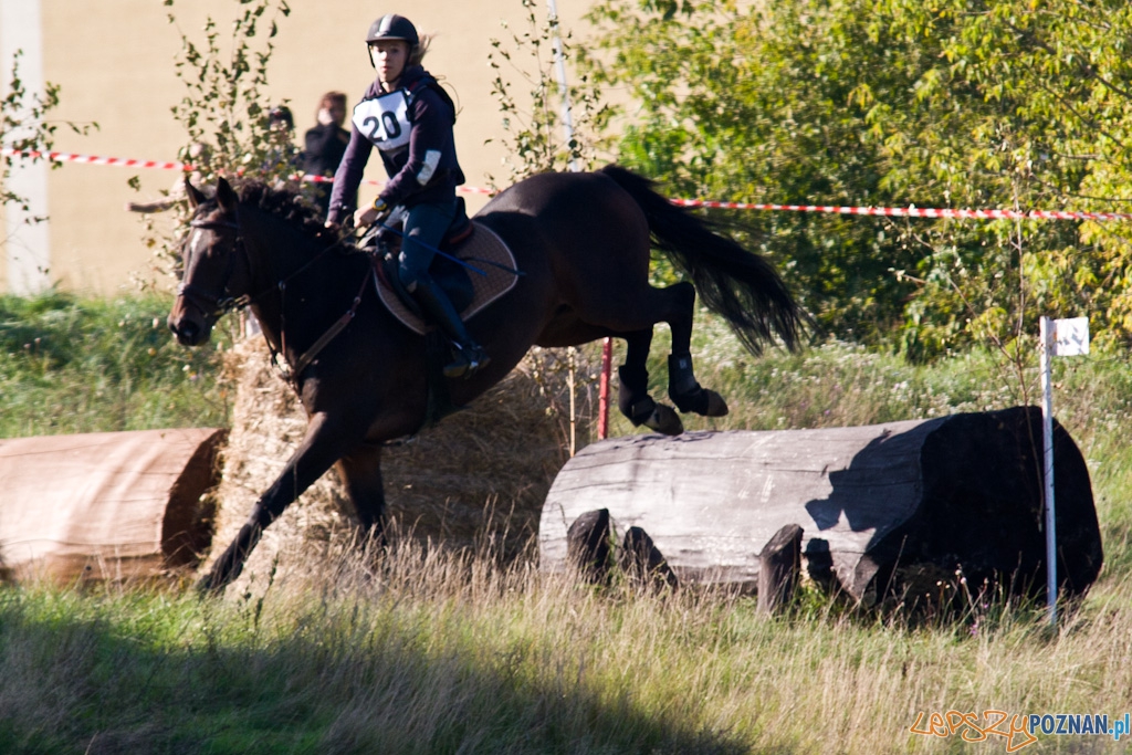 Ostatni dzień Mistrzostw Na Hipodromie Wola Foto: Piotr Rychter Ostatni dzień Mistrzostw Na Hipodromie Wola Foto: Piotr Rychter