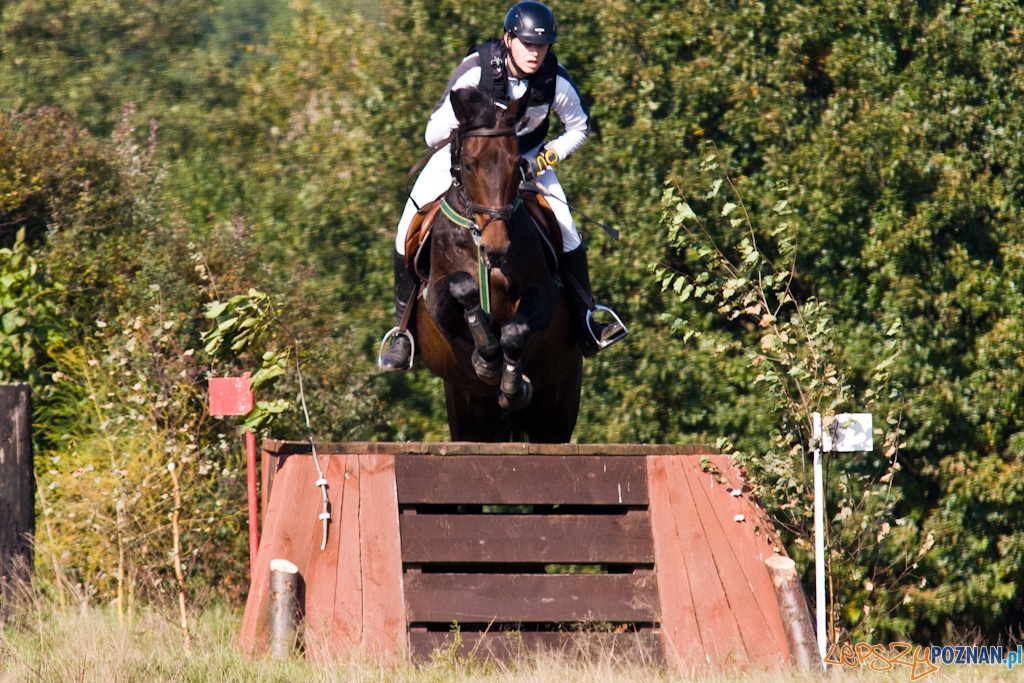 Ostatni dzień Mistrzostw Na Hipodromie Wola Foto: Piotr Rychter Ostatni dzień Mistrzostw Na Hipodromie Wola Foto: Piotr Rychter