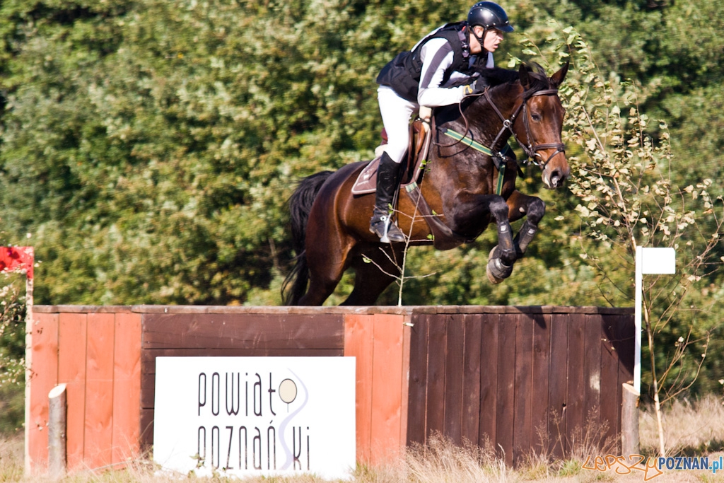 Ostatni dzień Mistrzostw Na Hipodromie Wola Foto: Piotr Rychter Ostatni dzień Mistrzostw Na Hipodromie Wola Foto: Piotr Rychter