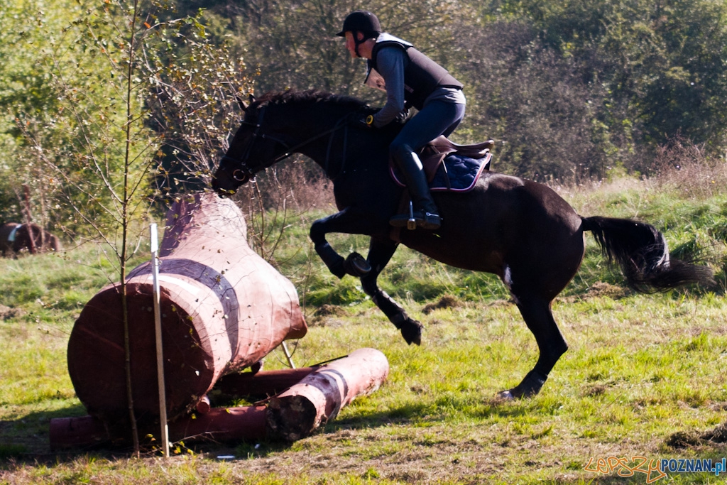 Ostatni dzień Mistrzostw Na Hipodromie Wola Foto: Piotr Rychter Ostatni dzień Mistrzostw Na Hipodromie Wola Foto: Piotr Rychter