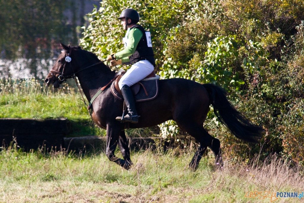 Ostatni dzień Mistrzostw Na Hipodromie Wola Foto: Piotr Rychter Ostatni dzień Mistrzostw Na Hipodromie Wola Foto: Piotr Rychter