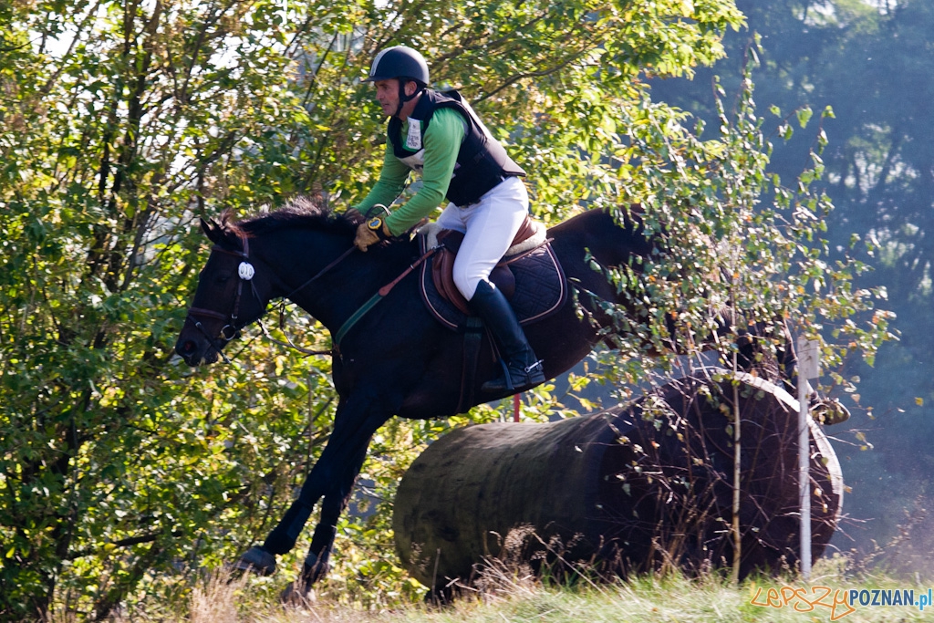 Ostatni dzień Mistrzostw Na Hipodromie Wola Foto: Piotr Rychter Ostatni dzień Mistrzostw Na Hipodromie Wola Foto: Piotr Rychter