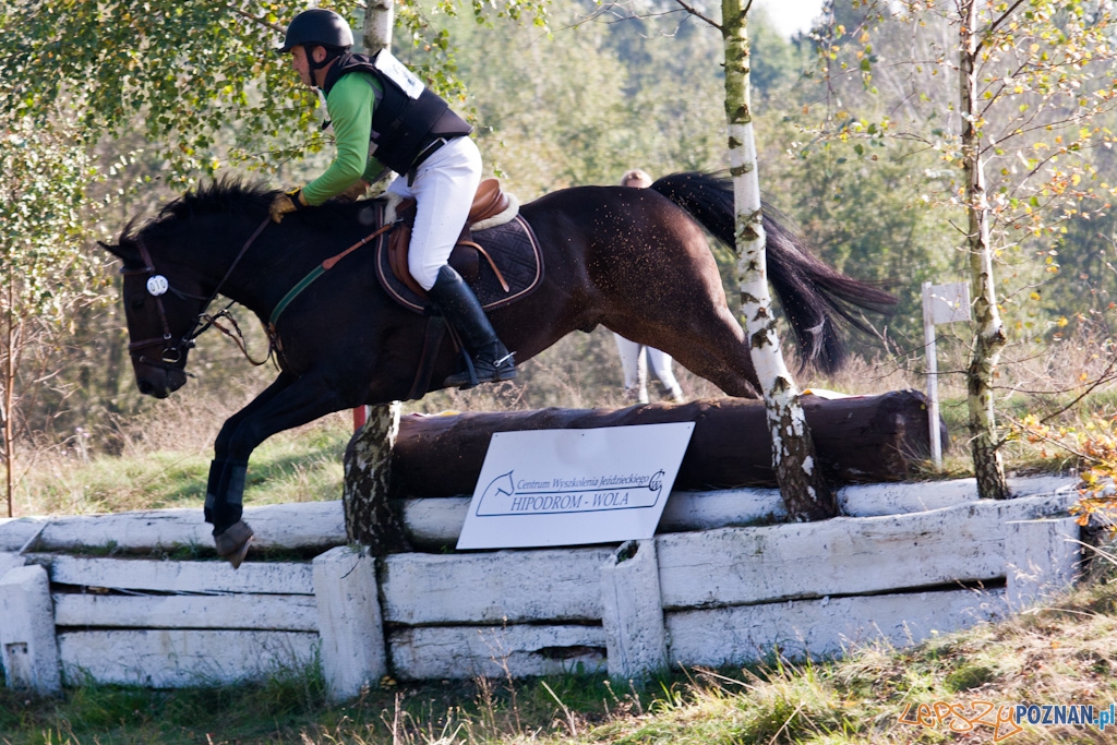 Ostatni dzień Mistrzostw Na Hipodromie Wola Foto: Piotr Rychter Ostatni dzień Mistrzostw Na Hipodromie Wola Foto: Piotr Rychter