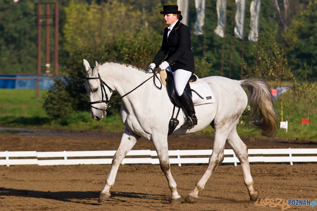 Ostatni dzień Mistrzostw Na Hipodromie Wola Foto: Piotr Rychter Ostatni dzień Mistrzostw Na Hipodromie Wola Foto: Piotr Rychter
