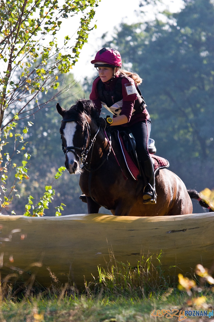 Ostatni dzień Mistrzostw Na Hipodromie Wola Foto: Piotr Rychter Ostatni dzień Mistrzostw Na Hipodromie Wola Foto: Piotr Rychter