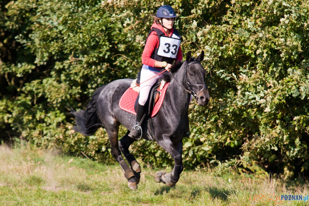 Ostatni dzień Mistrzostw Na Hipodromie Wola Foto: Piotr Rychter Ostatni dzień Mistrzostw Na Hipodromie Wola Foto: Piotr Rychter