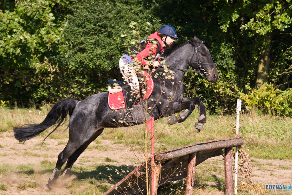 Ostatni dzień Mistrzostw Na Hipodromie Wola Foto: Piotr Rychter Ostatni dzień Mistrzostw Na Hipodromie Wola Foto: Piotr Rychter