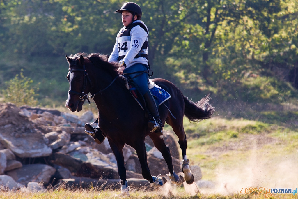 Ostatni dzień Mistrzostw Na Hipodromie Wola Foto: Piotr Rychter Ostatni dzień Mistrzostw Na Hipodromie Wola Foto: Piotr Rychter