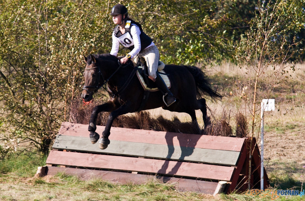 Ostatni dzień Mistrzostw Na Hipodromie Wola Foto: Piotr Rychter Ostatni dzień Mistrzostw Na Hipodromie Wola Foto: Piotr Rychter