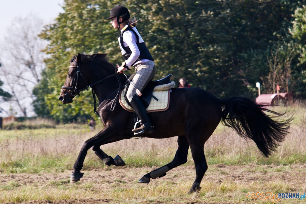 Ostatni dzień Mistrzostw Na Hipodromie Wola Foto: Piotr Rychter Ostatni dzień Mistrzostw Na Hipodromie Wola Foto: Piotr Rychter