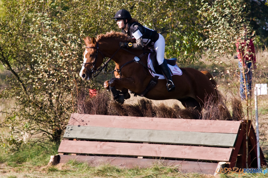 Ostatni dzień Mistrzostw Na Hipodromie Wola Foto: Piotr Rychter Ostatni dzień Mistrzostw Na Hipodromie Wola Foto: Piotr Rychter