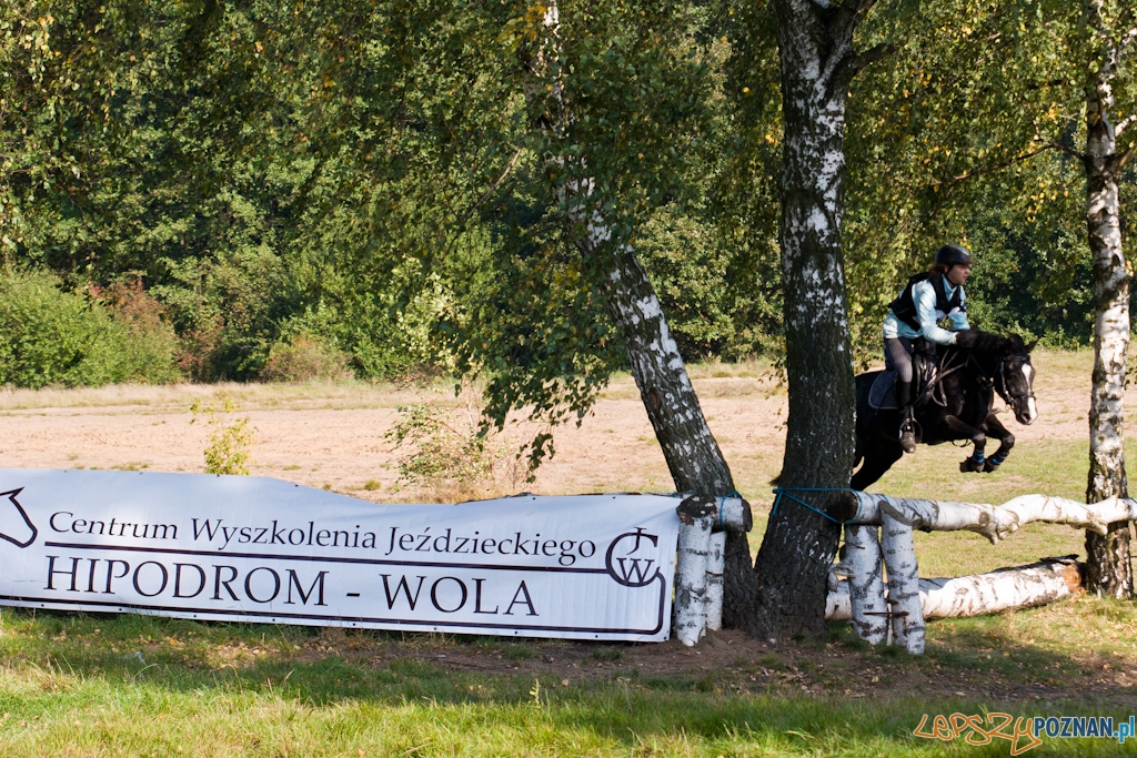 Ostatni dzień Mistrzostw Na Hipodromie Wola Foto: Piotr Rychter Ostatni dzień Mistrzostw Na Hipodromie Wola Foto: Piotr Rychter