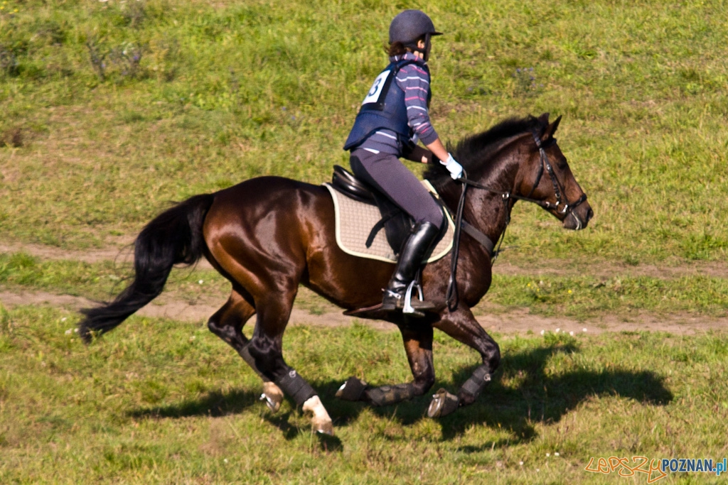 Ostatni dzień Mistrzostw Na Hipodromie Wola Foto: Piotr Rychter Ostatni dzień Mistrzostw Na Hipodromie Wola Foto: Piotr Rychter
