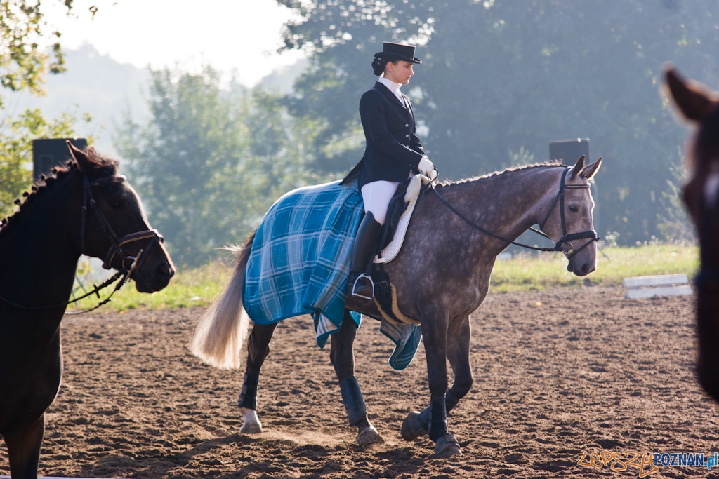 Ostatni dzień Mistrzostw Na Hipodromie Wola Foto: Piotr Rychter Ostatni dzień Mistrzostw Na Hipodromie Wola Foto: Piotr Rychter