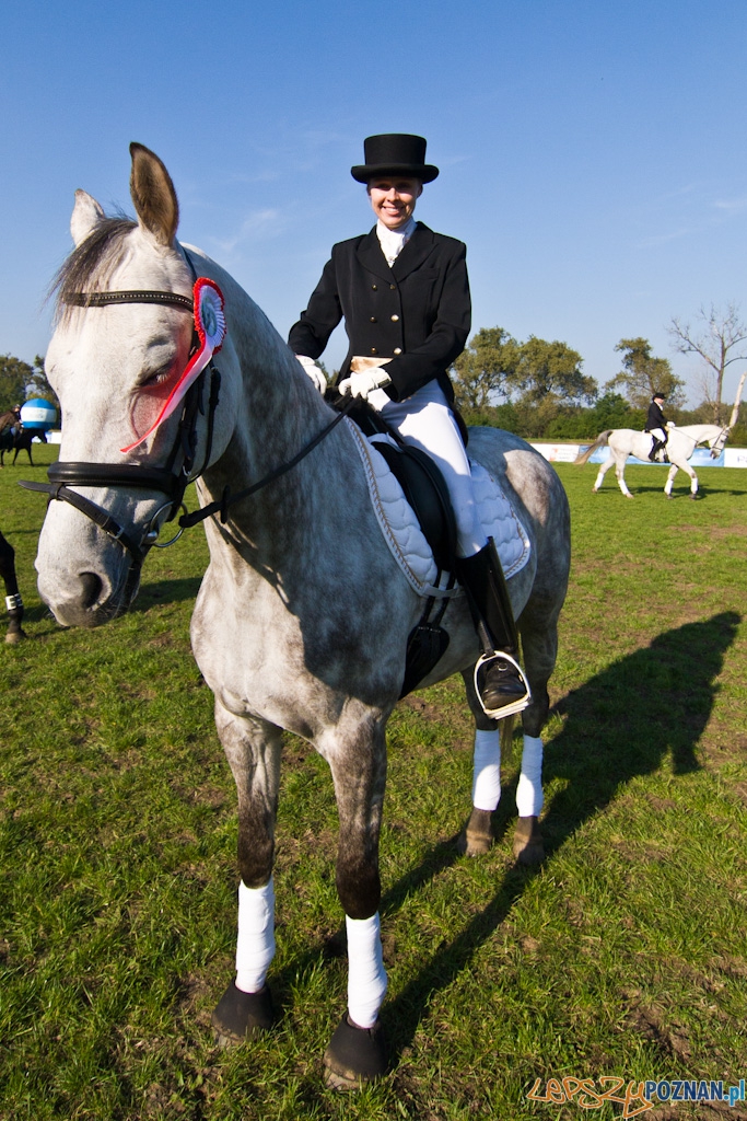 Ostatni dzień Mistrzostw Na Hipodromie Wola Foto: Piotr Rychter Ostatni dzień Mistrzostw Na Hipodromie Wola Foto: Piotr Rychter