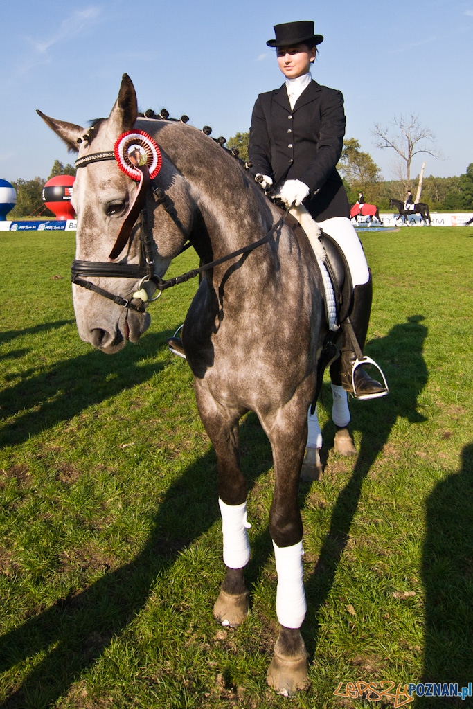 Ostatni dzień Mistrzostw Na Hipodromie Wola Foto: Piotr Rychter Ostatni dzień Mistrzostw Na Hipodromie Wola Foto: Piotr Rychter