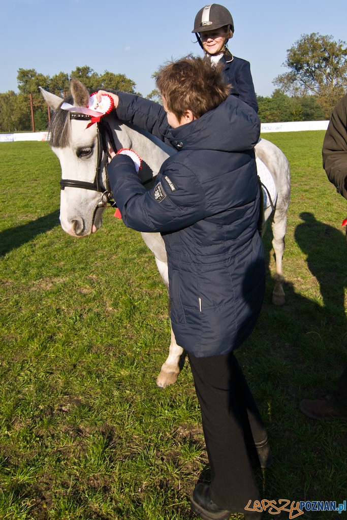 Ostatni dzień Mistrzostw Na Hipodromie Wola Foto: Piotr Rychter Ostatni dzień Mistrzostw Na Hipodromie Wola Foto: Piotr Rychter