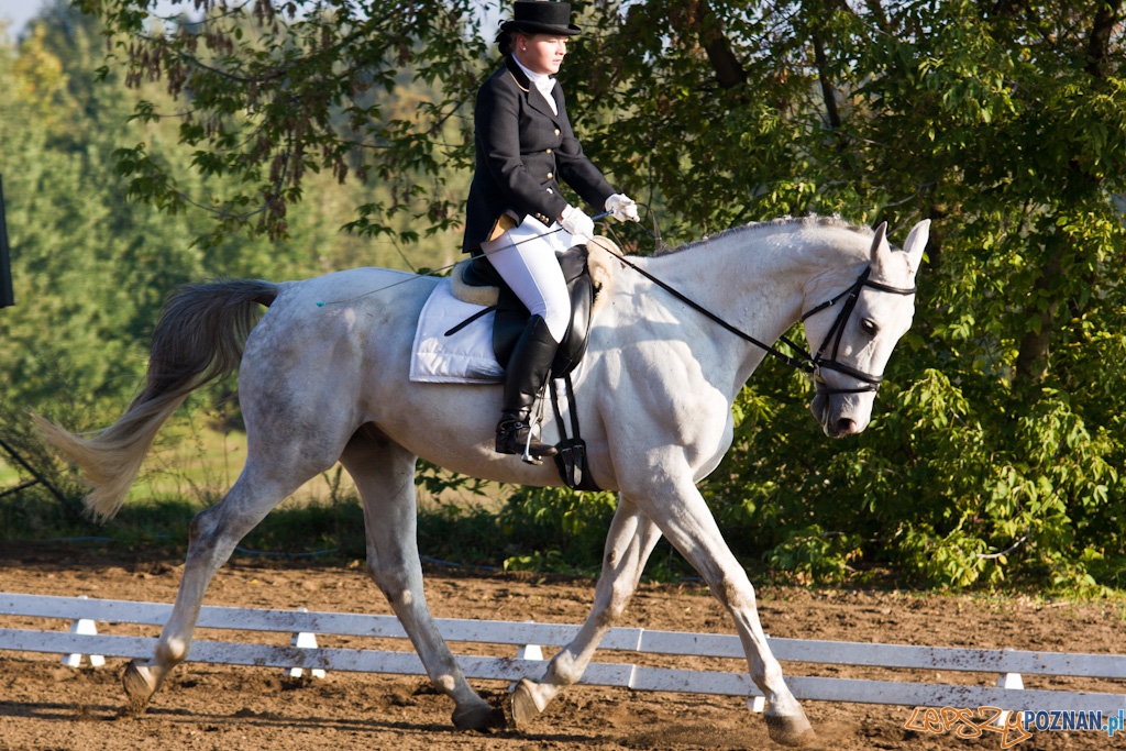 Ostatni dzień Mistrzostw Na Hipodromie Wola Foto: Piotr Rychter Ostatni dzień Mistrzostw Na Hipodromie Wola Foto: Piotr Rychter