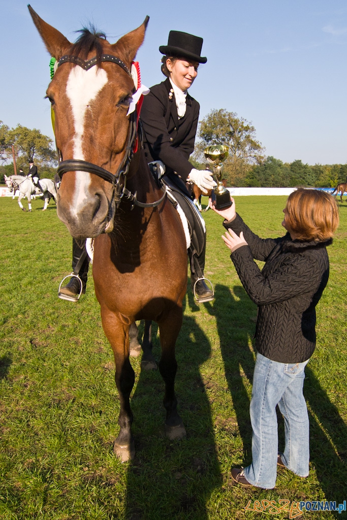 Ostatni dzień Mistrzostw Na Hipodromie Wola Foto: Piotr Rychter Ostatni dzień Mistrzostw Na Hipodromie Wola Foto: Piotr Rychter