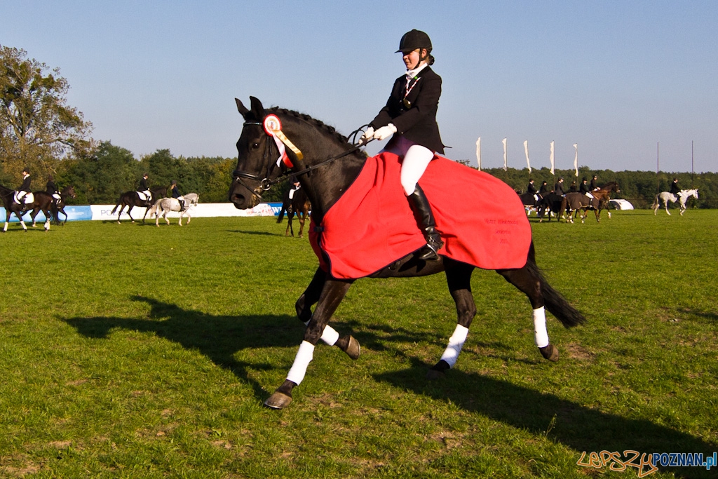 Ostatni dzień Mistrzostw Na Hipodromie Wola Foto: Piotr Rychter Ostatni dzień Mistrzostw Na Hipodromie Wola Foto: Piotr Rychter