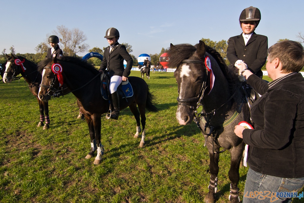 Ostatni dzień Mistrzostw Na Hipodromie Wola Foto: Piotr Rychter Ostatni dzień Mistrzostw Na Hipodromie Wola Foto: Piotr Rychter