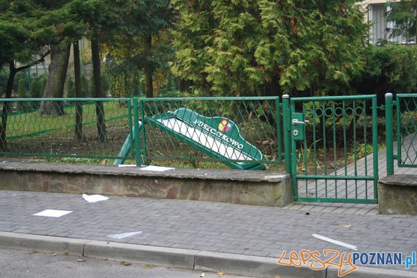 zniszczenia w Puszczykowie Foto: UMPuszczykowo zniszczenia w Puszczykowie Foto: UMPuszczykowo