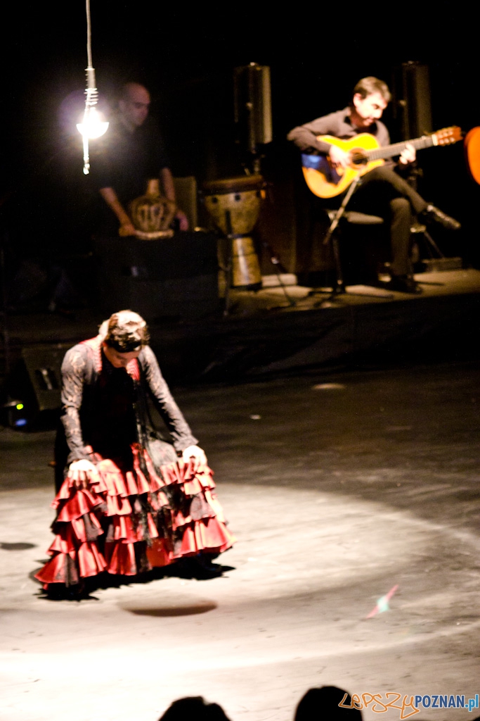 DUENDE Miêdzynarodowy Festiwal Flamenco EVA YERBABUENA Foto: Piotr Rychter DUENDE Miêdzynarodowy Festiwal Flamenco EVA YERBABUENA Foto: Piotr Rychter