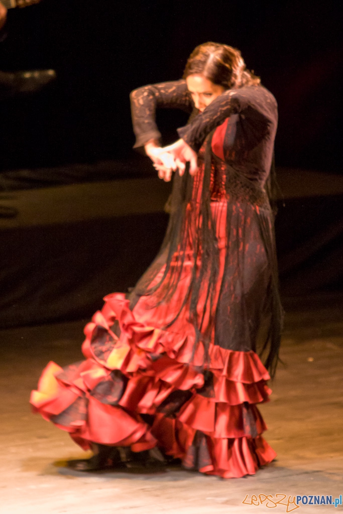 DUENDE Miêdzynarodowy Festiwal Flamenco EVA YERBABUENA Foto: Piotr Rychter DUENDE Miêdzynarodowy Festiwal Flamenco EVA YERBABUENA Foto: Piotr Rychter