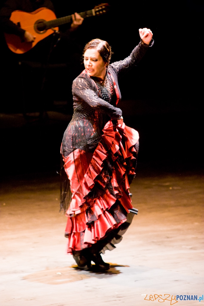 DUENDE Miêdzynarodowy Festiwal Flamenco EVA YERBABUENA Foto: Piotr Rychter DUENDE Miêdzynarodowy Festiwal Flamenco EVA YERBABUENA Foto: Piotr Rychter