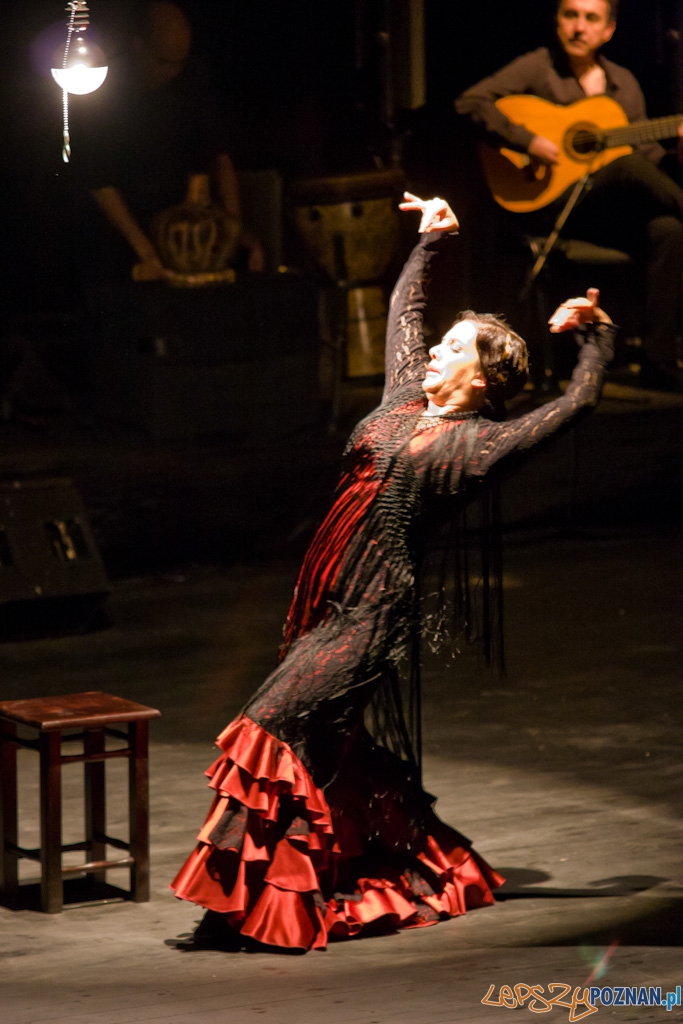 DUENDE Miêdzynarodowy Festiwal Flamenco EVA YERBABUENA Foto: Piotr Rychter DUENDE Miêdzynarodowy Festiwal Flamenco EVA YERBABUENA Foto: Piotr Rychter