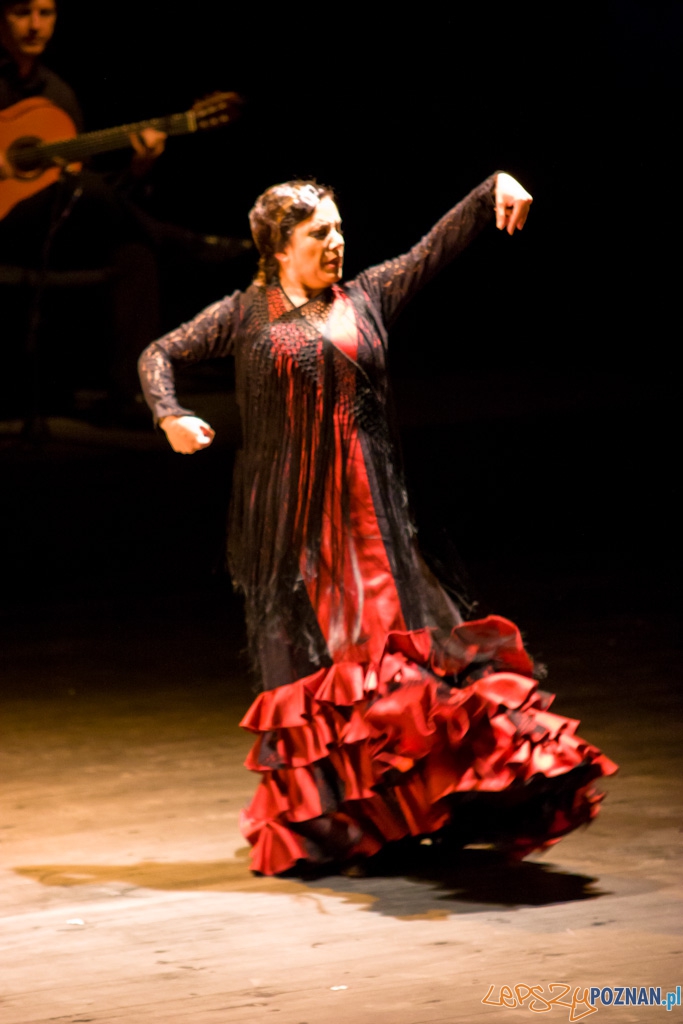 DUENDE Miêdzynarodowy Festiwal Flamenco EVA YERBABUENA Foto: Piotr Rychter DUENDE Miêdzynarodowy Festiwal Flamenco EVA YERBABUENA Foto: Piotr Rychter