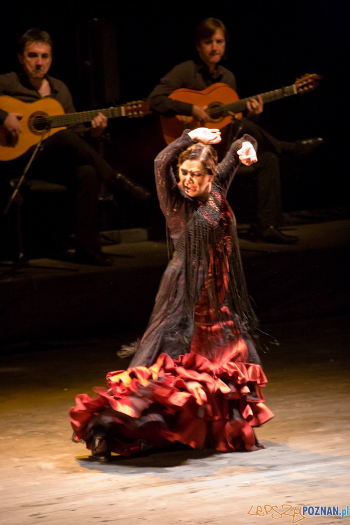 DUENDE Miêdzynarodowy Festiwal Flamenco EVA YERBABUENA Foto: Piotr Rychter DUENDE Miêdzynarodowy Festiwal Flamenco EVA YERBABUENA Foto: Piotr Rychter