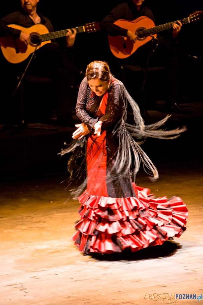 DUENDE Miêdzynarodowy Festiwal Flamenco EVA YERBABUENA Foto: Piotr Rychter DUENDE Miêdzynarodowy Festiwal Flamenco EVA YERBABUENA Foto: Piotr Rychter
