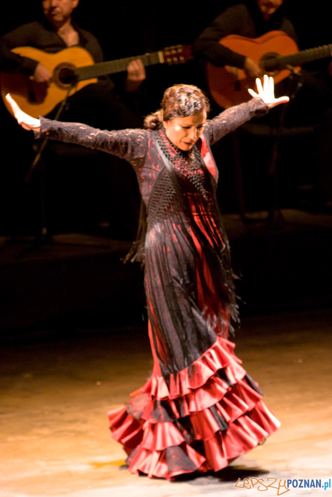 DUENDE Miêdzynarodowy Festiwal Flamenco EVA YERBABUENA Foto: Piotr Rychter DUENDE Miêdzynarodowy Festiwal Flamenco EVA YERBABUENA Foto: Piotr Rychter