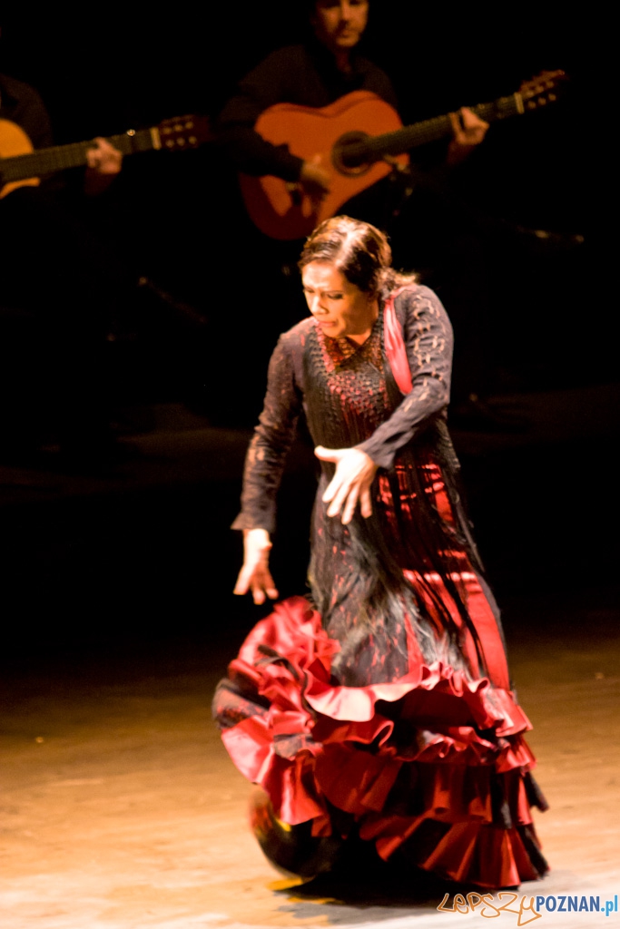 DUENDE Miêdzynarodowy Festiwal Flamenco EVA YERBABUENA Foto: Piotr Rychter DUENDE Miêdzynarodowy Festiwal Flamenco EVA YERBABUENA Foto: Piotr Rychter