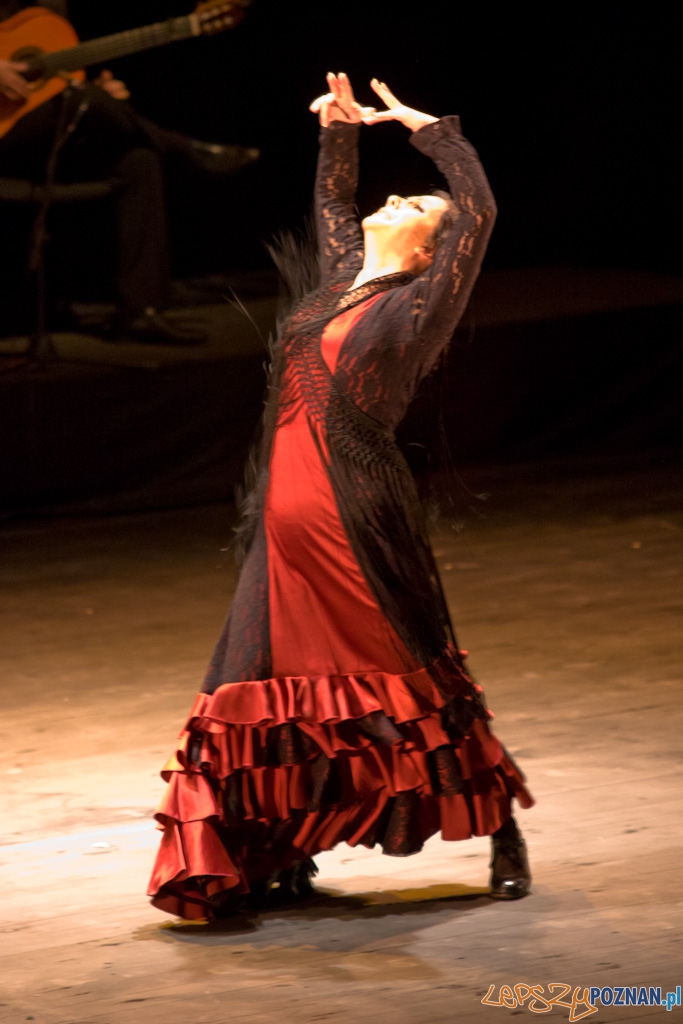 DUENDE Miêdzynarodowy Festiwal Flamenco EVA YERBABUENA Foto: Piotr Rychter DUENDE Miêdzynarodowy Festiwal Flamenco EVA YERBABUENA Foto: Piotr Rychter