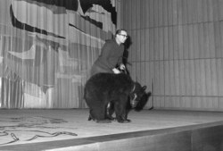 SALA WIELKA DAWNO, DAWNO W ODLEGŁEJ GALAKTYCE Foto: CK ZAMEK SALA WIELKA DAWNO, DAWNO W ODLEGŁEJ GALAKTYCE Foto: CK ZAMEK