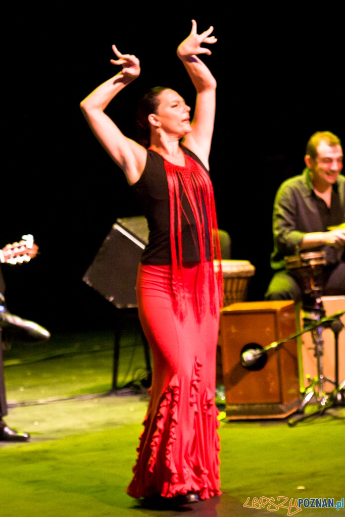 DUENDE Miêdzynarodowy Festiwal Flamenco CANIZARES Foto: Piotr Rychter DUENDE Miêdzynarodowy Festiwal Flamenco CANIZARES Foto: Piotr Rychter
