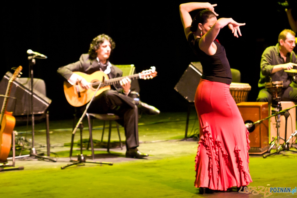 DUENDE Miêdzynarodowy Festiwal Flamenco CANIZARES Foto: Piotr Rychter DUENDE Miêdzynarodowy Festiwal Flamenco CANIZARES Foto: Piotr Rychter