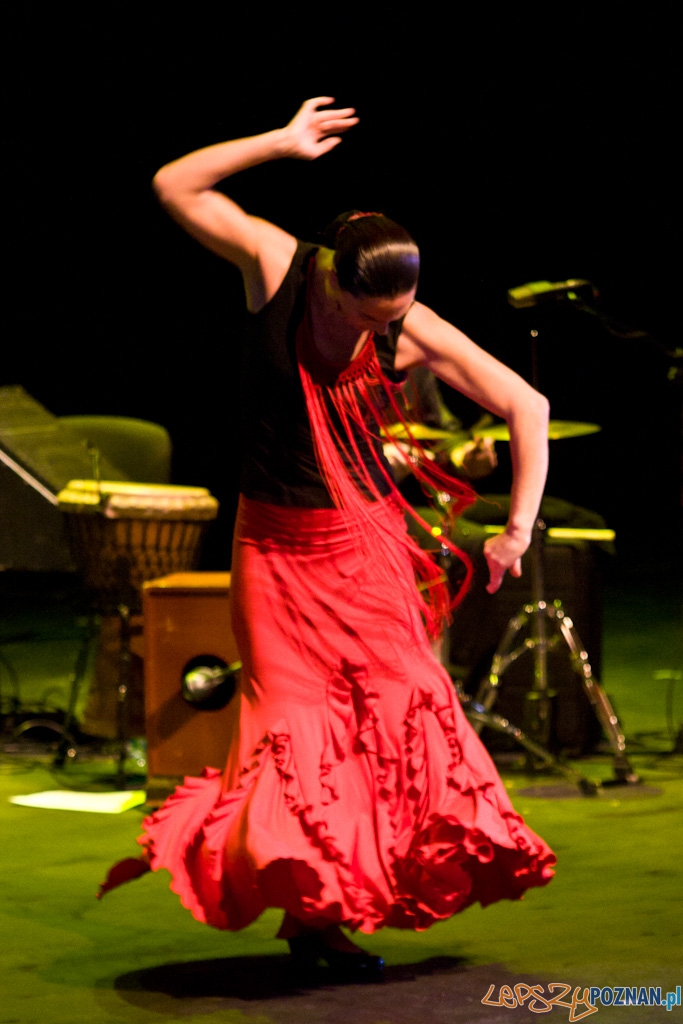 DUENDE Miêdzynarodowy Festiwal Flamenco CANIZARES Foto: Piotr Rychter DUENDE Miêdzynarodowy Festiwal Flamenco CANIZARES Foto: Piotr Rychter